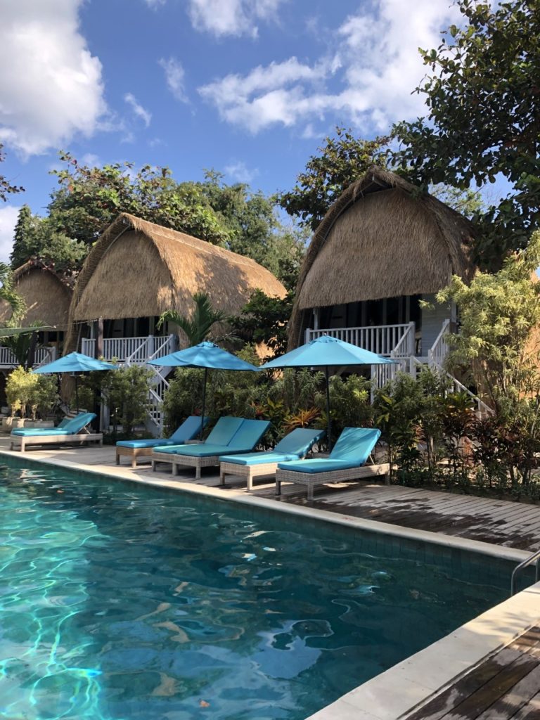 guest post Bali 2019 1