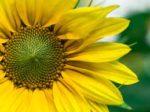 Positive Psychology & Psychotherapy