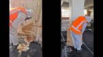 Paint Stripping