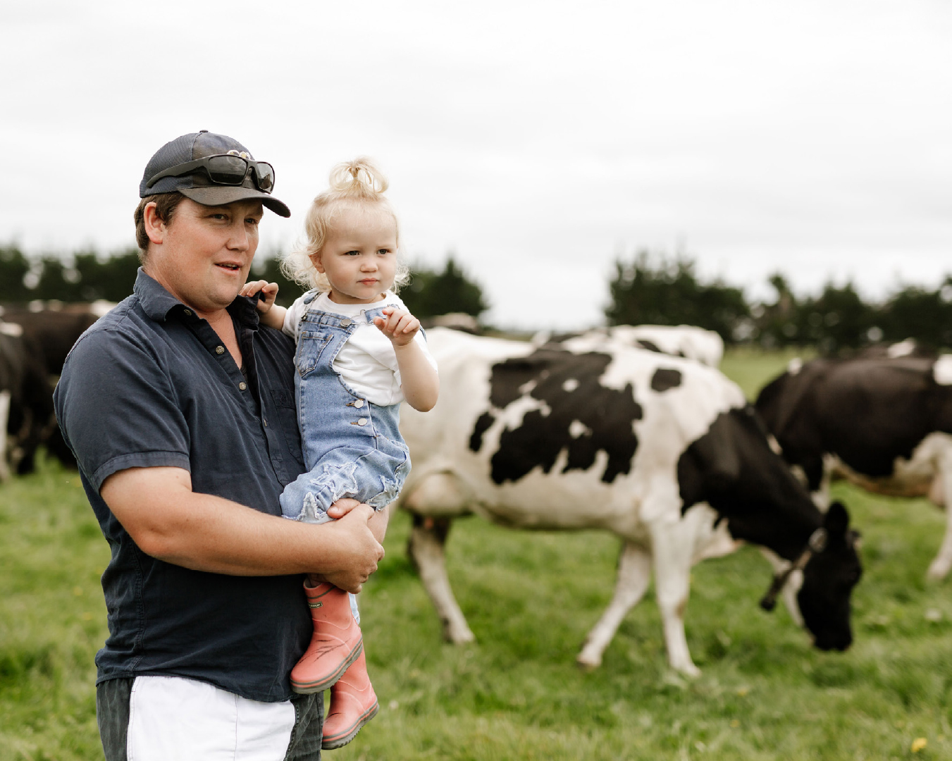 Ben McConnell stands with his child next to a herd of black and white cows